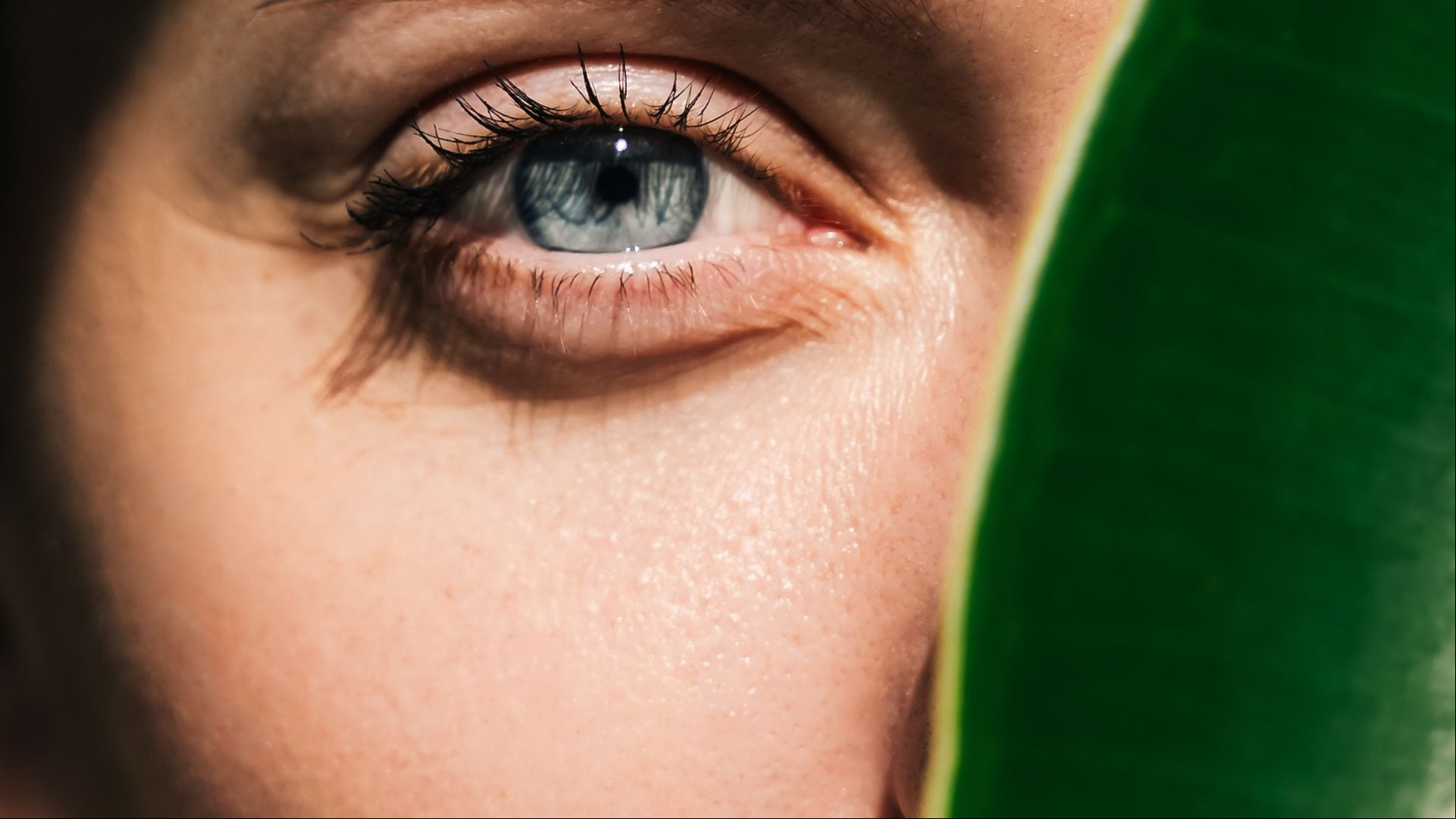 El activo antiedad y antimanchas que la Unión Europea ha regulado, además del retinol