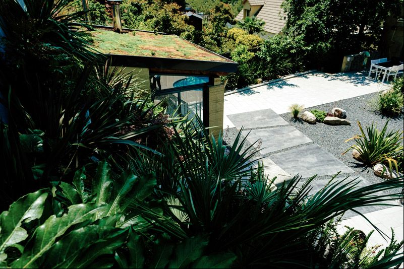 plantas mitigar calor hogar hola decoracion sostenible 05