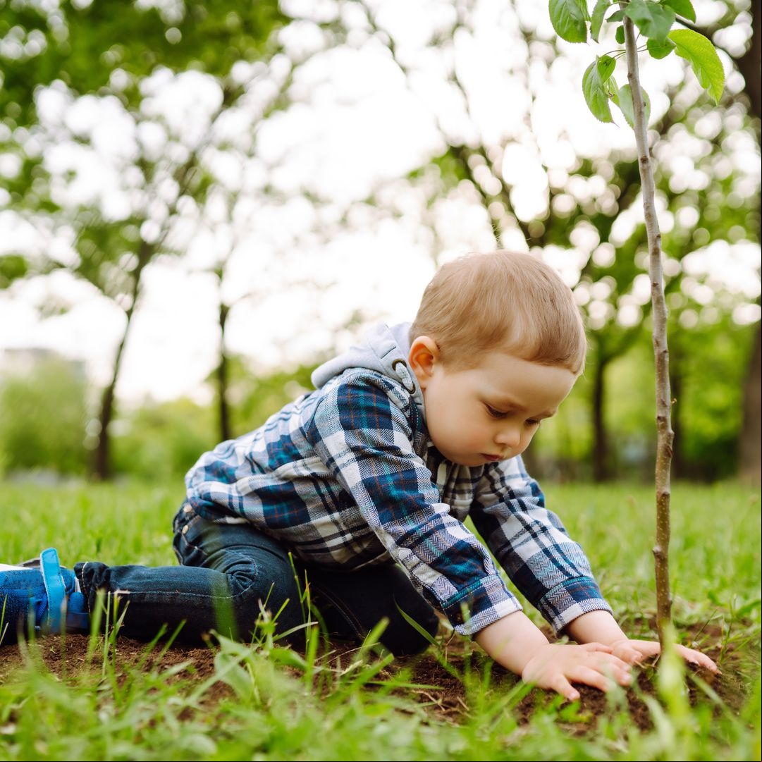 7 actividades fáciles y efectivas para estimular el desarrollo cerebral de tu hijo