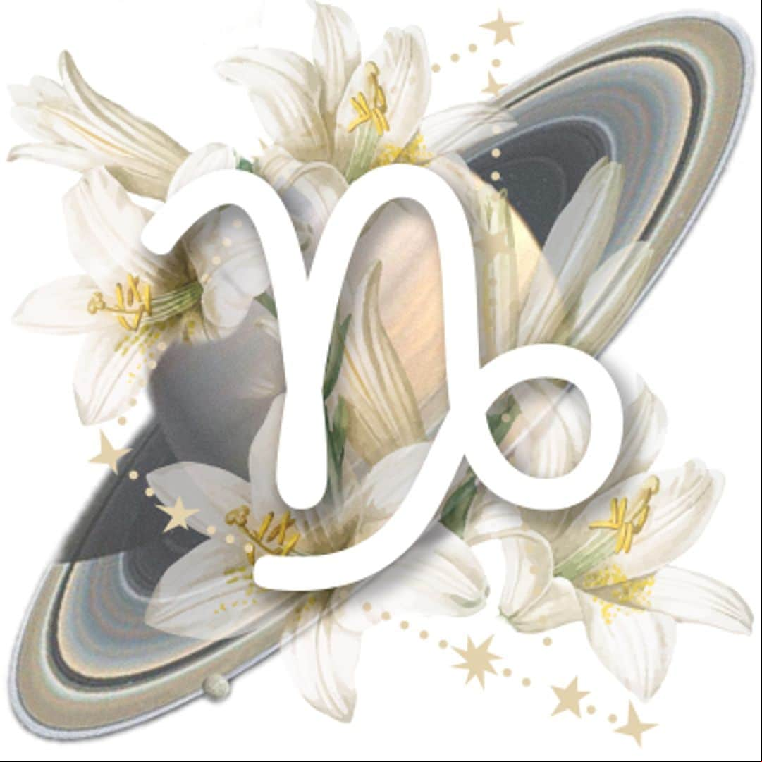 Capricornio Horoscope Sign