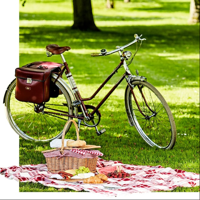 picnic
